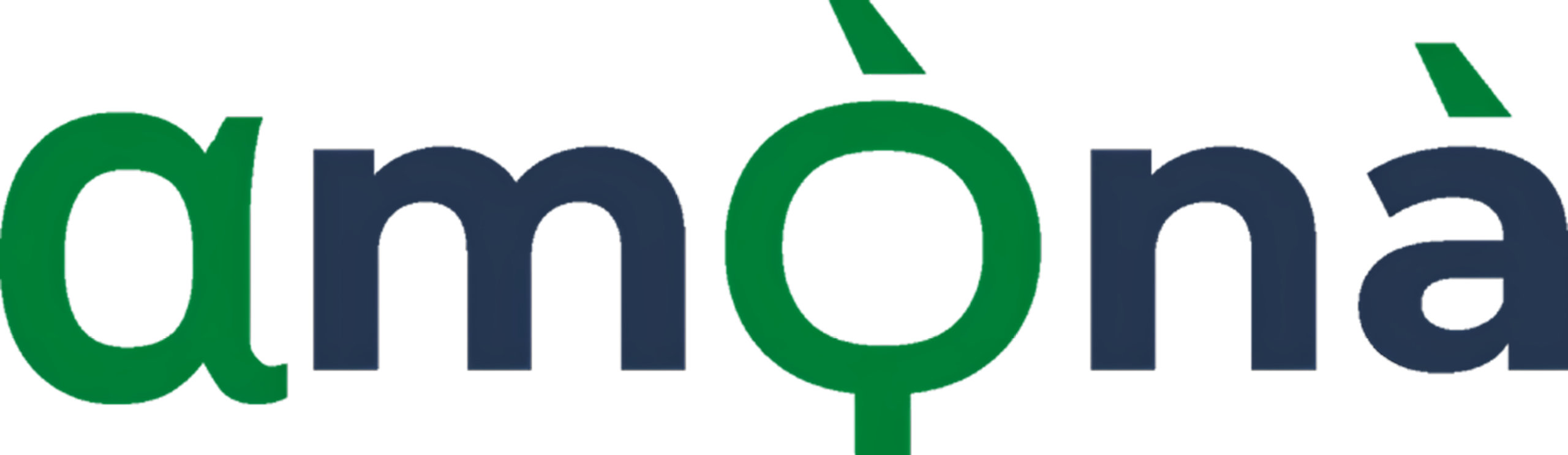 Amona Consulting